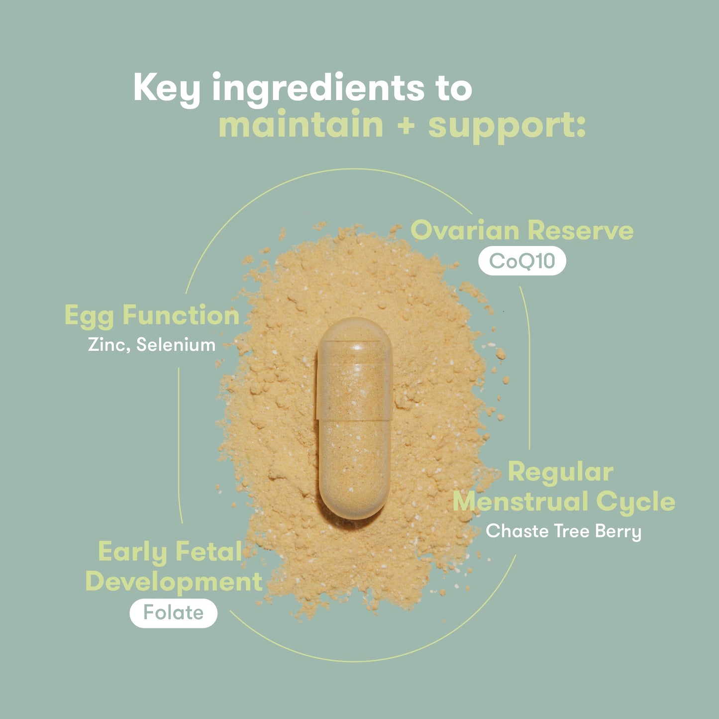 Pre-Conception Supplement Set